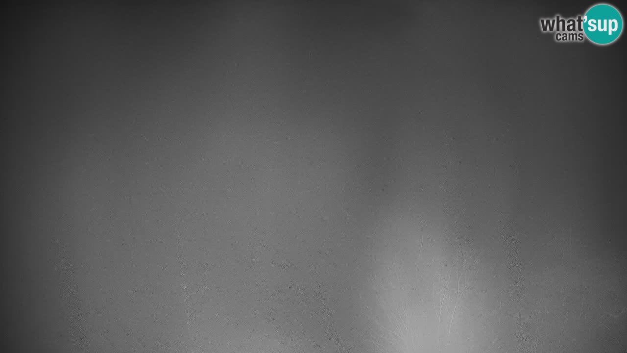 Skigebiet Stari Vrh Live Webcam – Slowenien