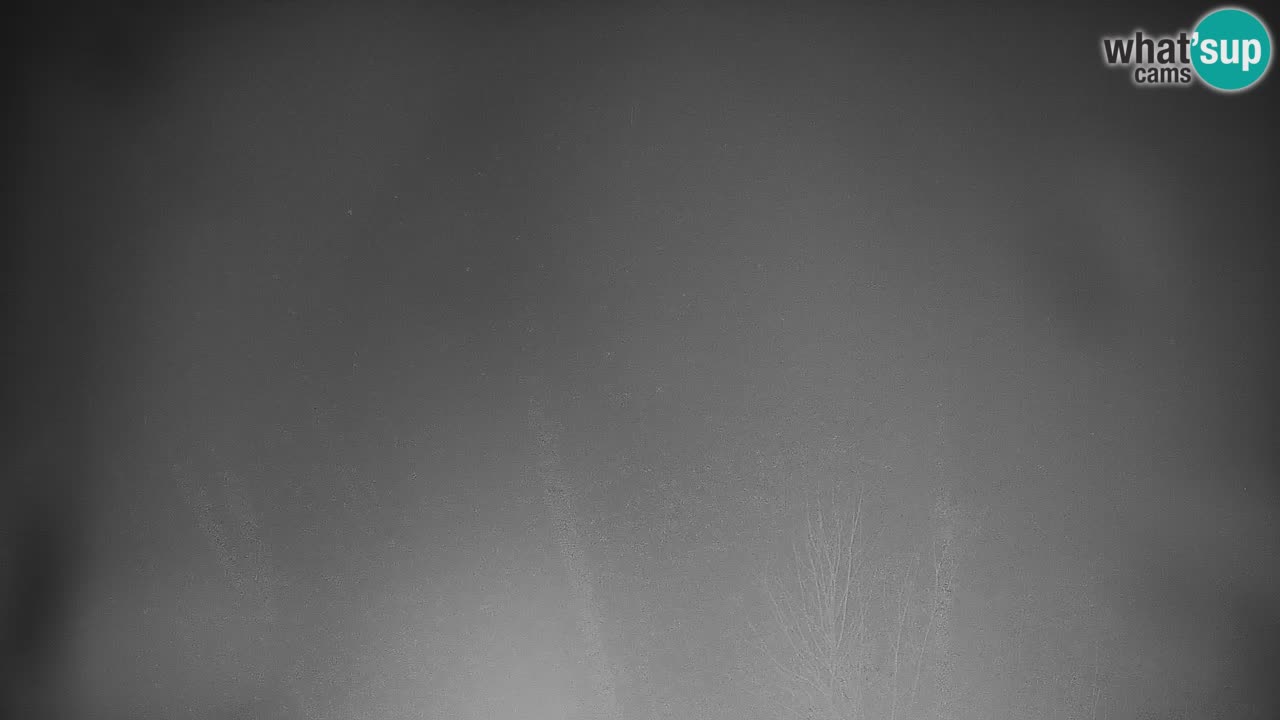 Skijalište Stari Vrh Web kamera uživo – Slovenija