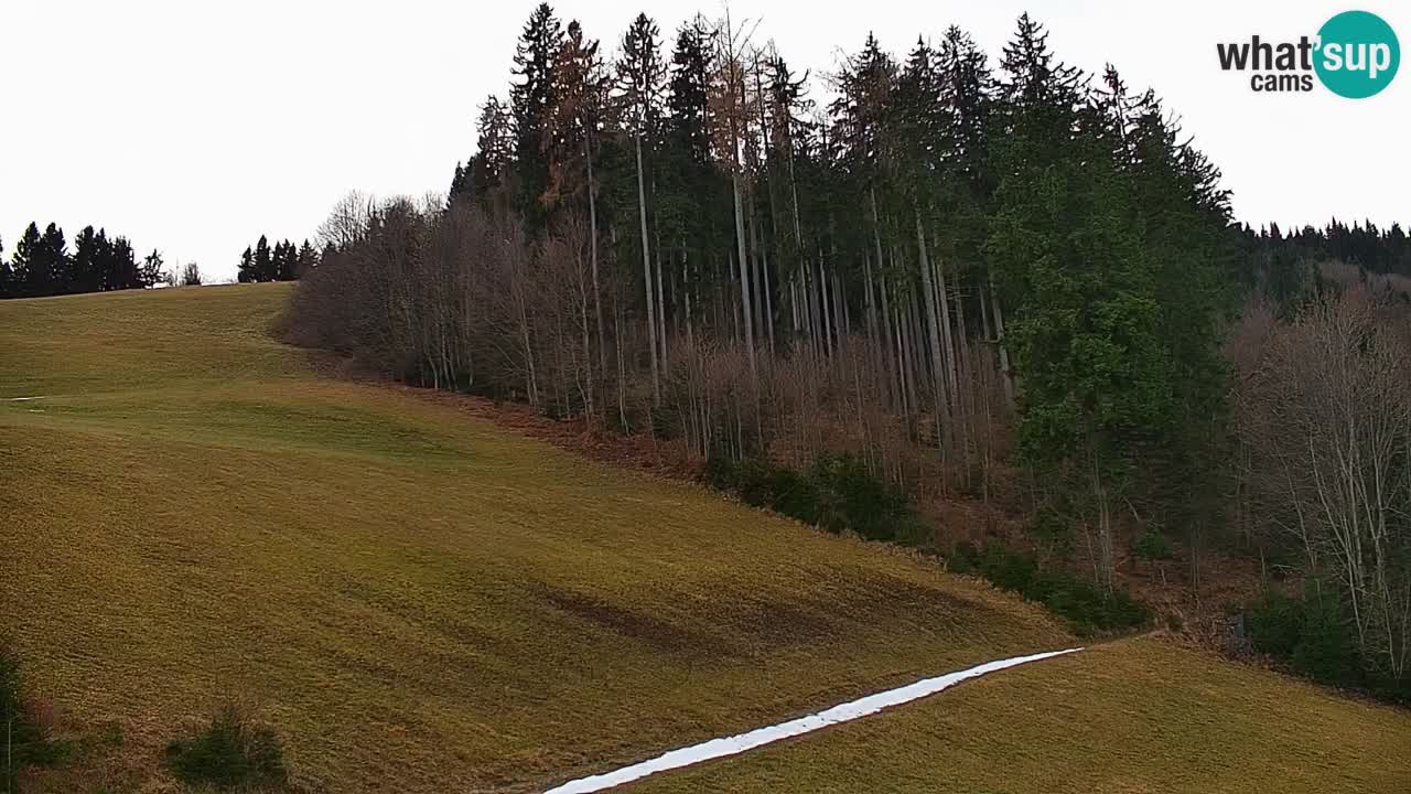 Stari Vrh Ski resort Live webcam – Slovenia