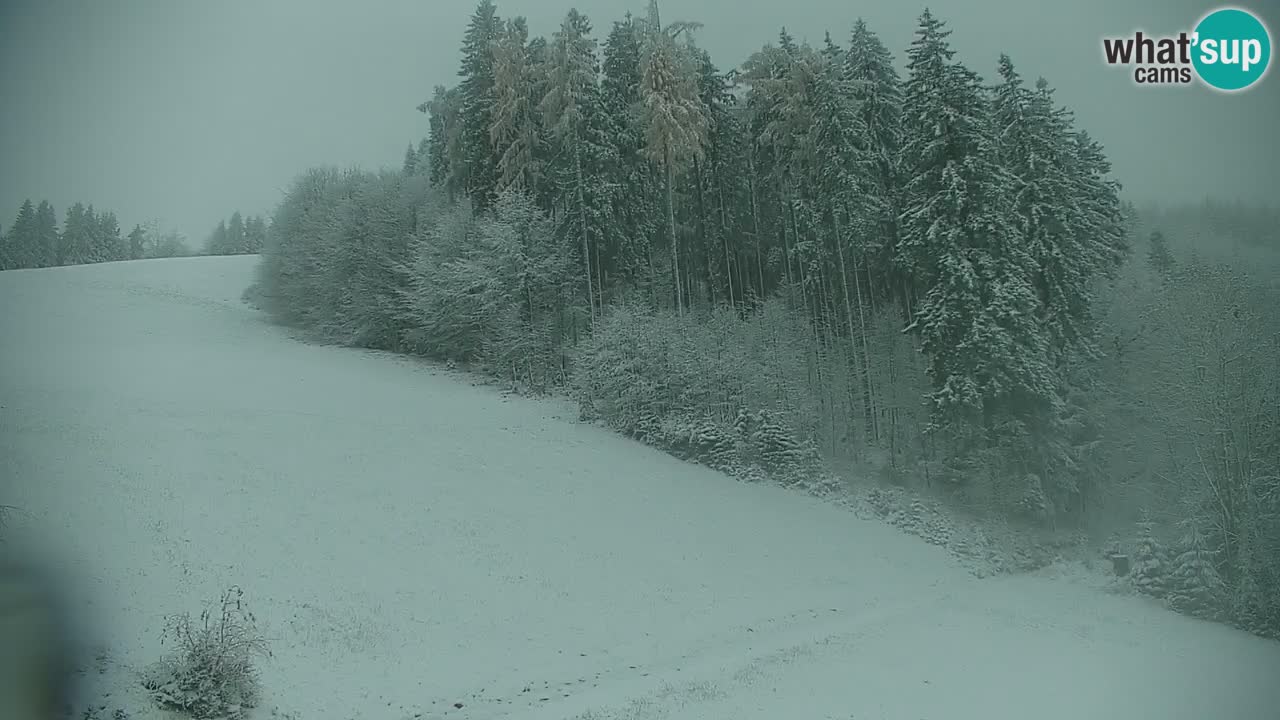 Skijalište Stari Vrh Web kamera uživo – Slovenija