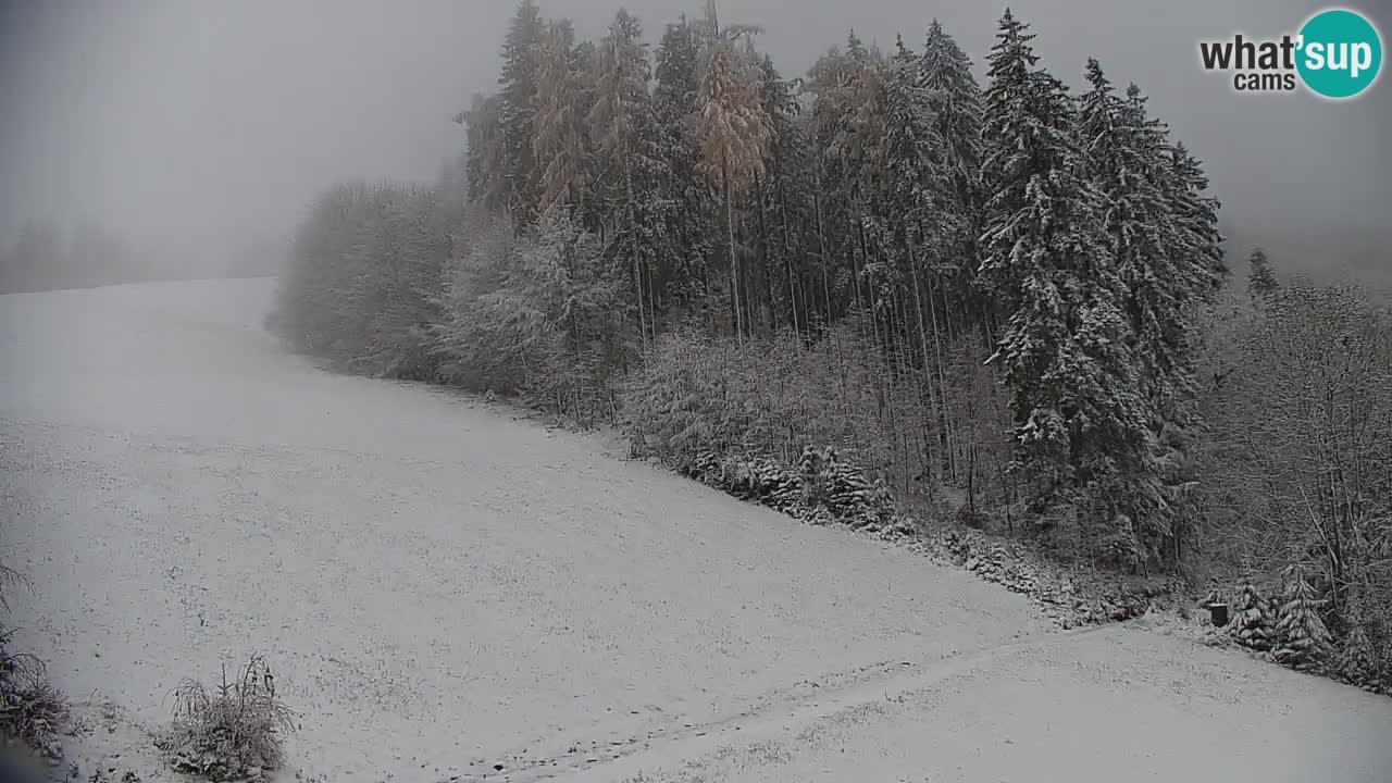 Smučišče Stari Vrh Spletna kamera – vrtljiva