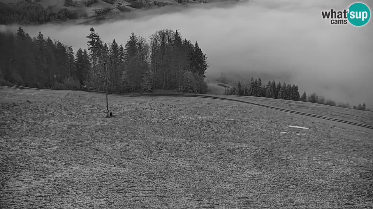 Estación de esquí Stari Vrh Cámara web en vivo – Eslovenia