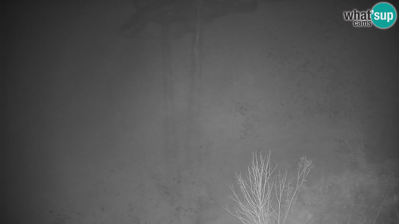 Webcam en direct de la station de ski de Stari Vrh – Slovénie