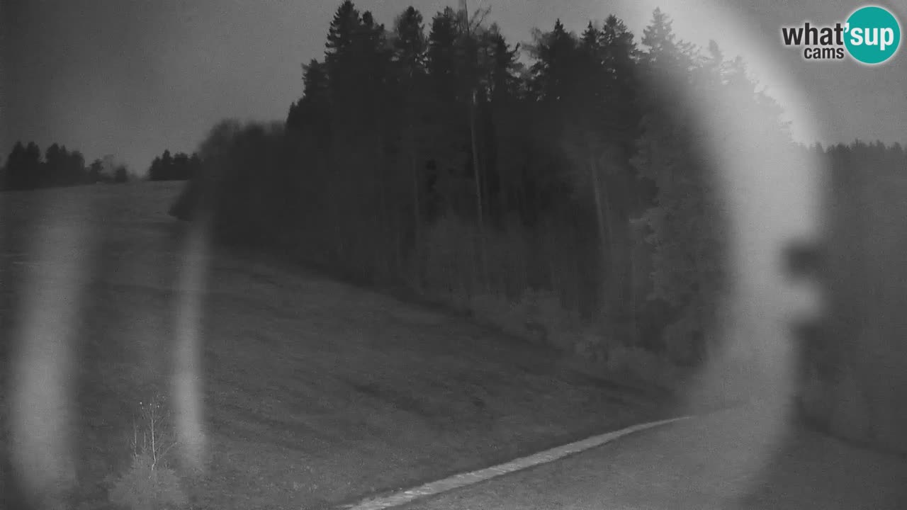 Smučišče Stari Vrh Spletna kamera – vrtljiva