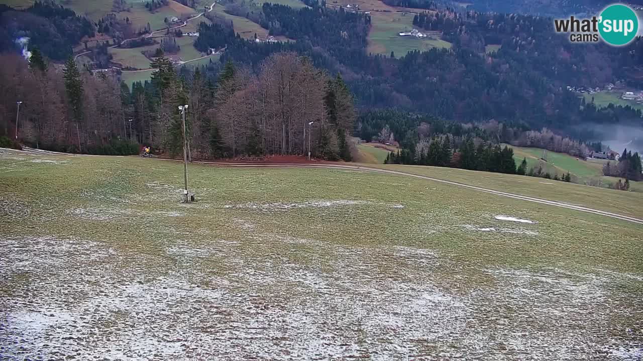 Skijalište Stari Vrh Web kamera uživo – Slovenija
