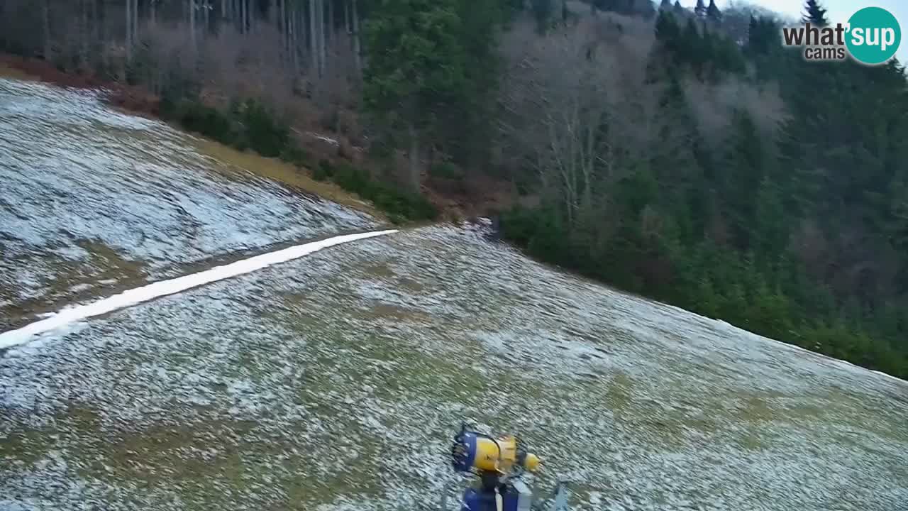 Skijalište Stari Vrh Web kamera uživo – Slovenija