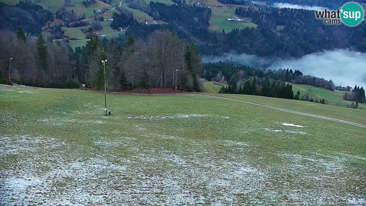 Stazione sciistica di Stari Vrh Webcam in diretta – Slovenia