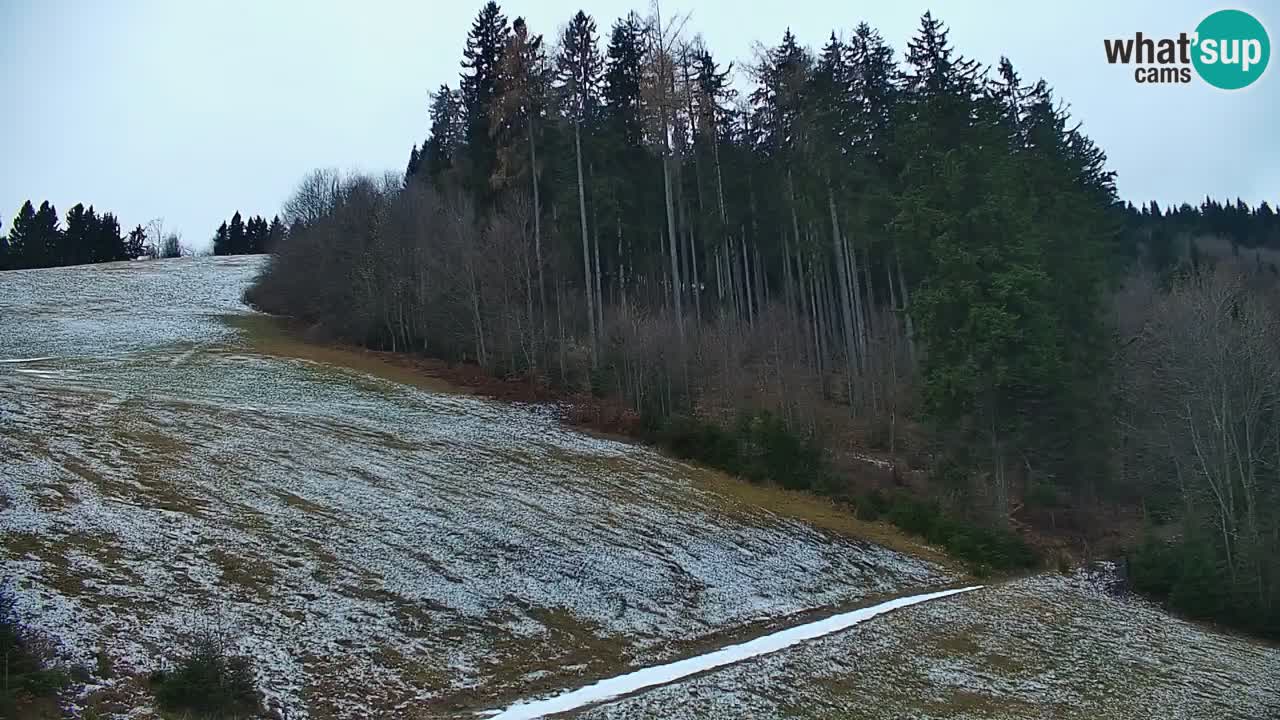 Webcam en direct de la station de ski de Stari Vrh – Slovénie