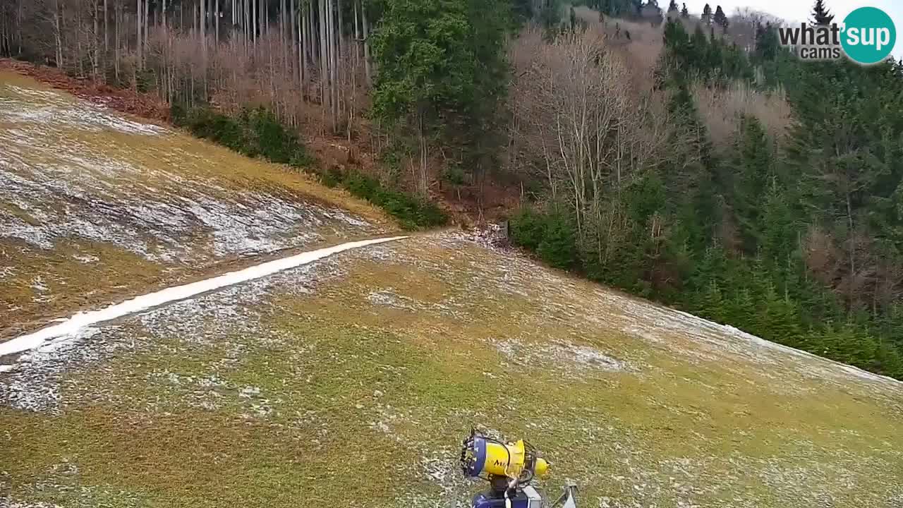 Webcam en direct de la station de ski de Stari Vrh – Slovénie