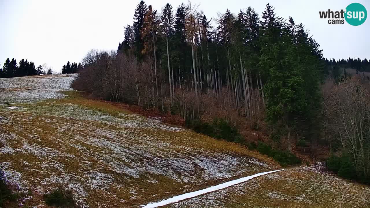 Estación de esquí Stari Vrh Cámara web en vivo – Eslovenia