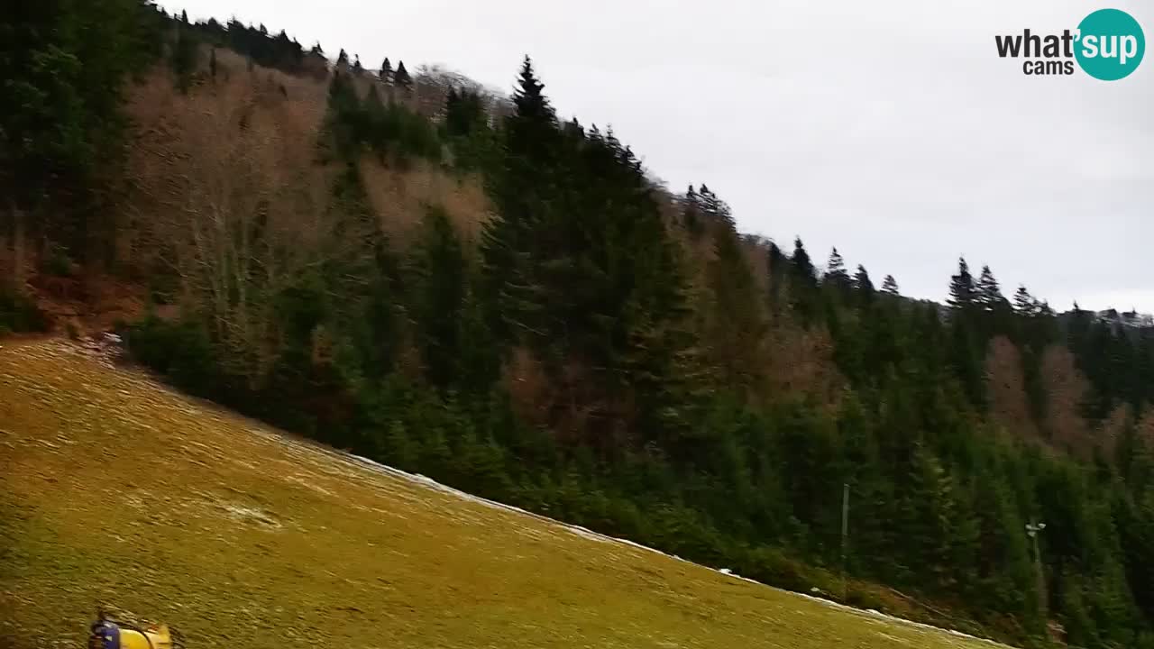 Smučišče Stari Vrh Spletna kamera – vrtljiva