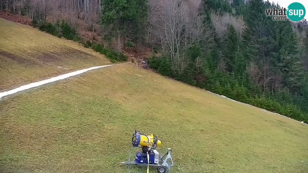 Smučišče Stari Vrh Spletna kamera – vrtljiva