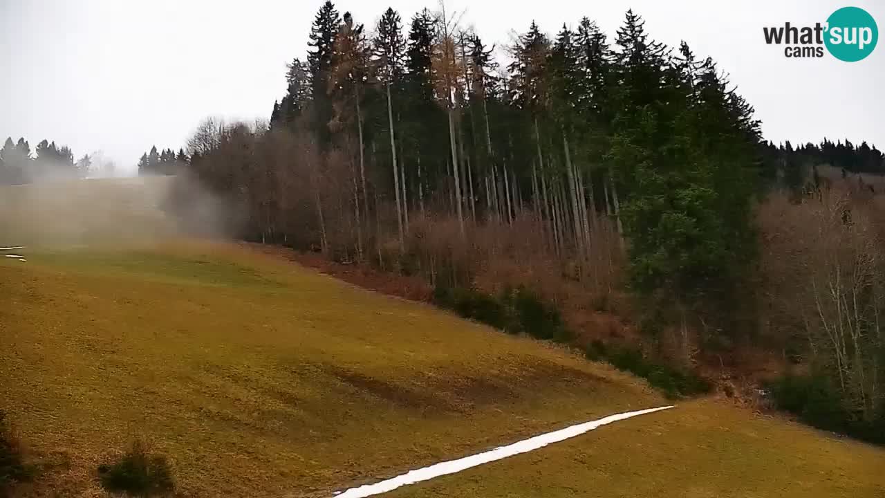 Webcam en direct de la station de ski de Stari Vrh – Slovénie