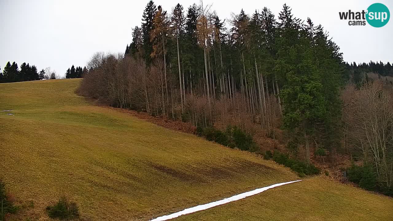 Estación de esquí Stari Vrh Cámara web en vivo – Eslovenia