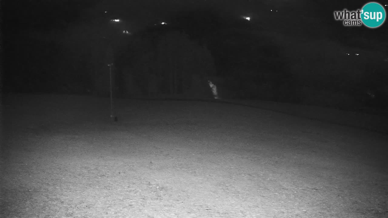 Skijalište Stari Vrh Web kamera uživo – Slovenija