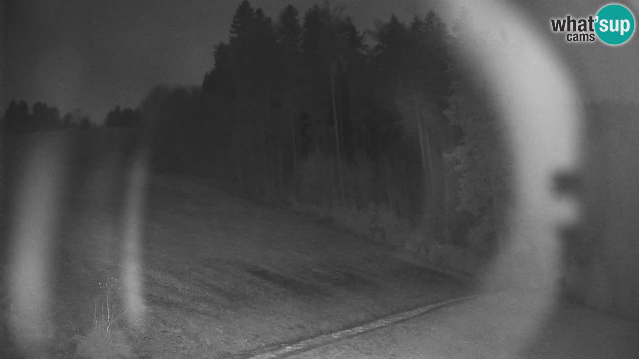 Webcam en direct de la station de ski de Stari Vrh – Slovénie