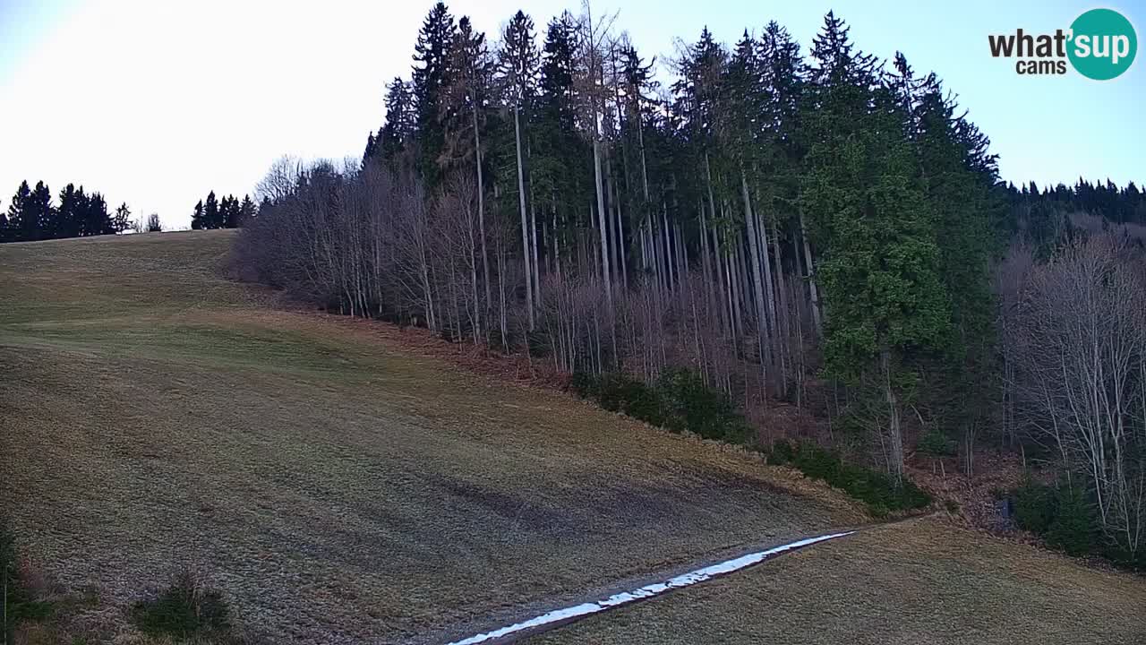 Skijalište Stari Vrh Web kamera uživo – Slovenija