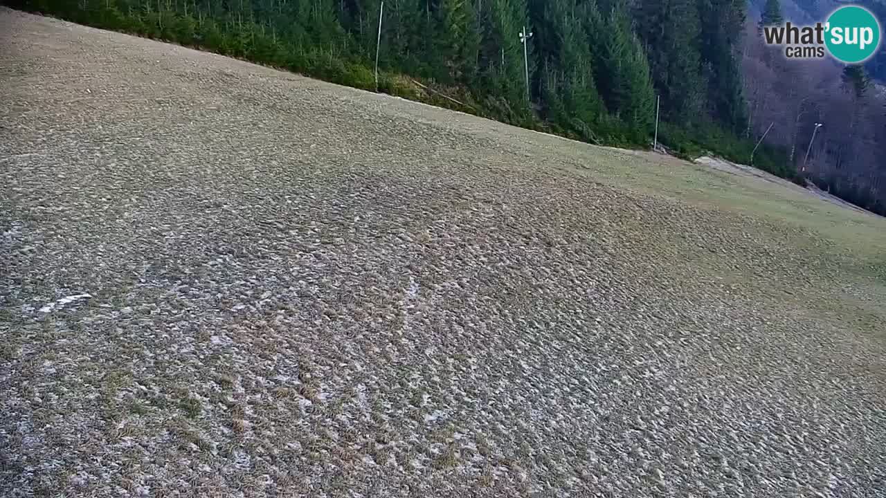Webcam en direct de la station de ski de Stari Vrh – Slovénie