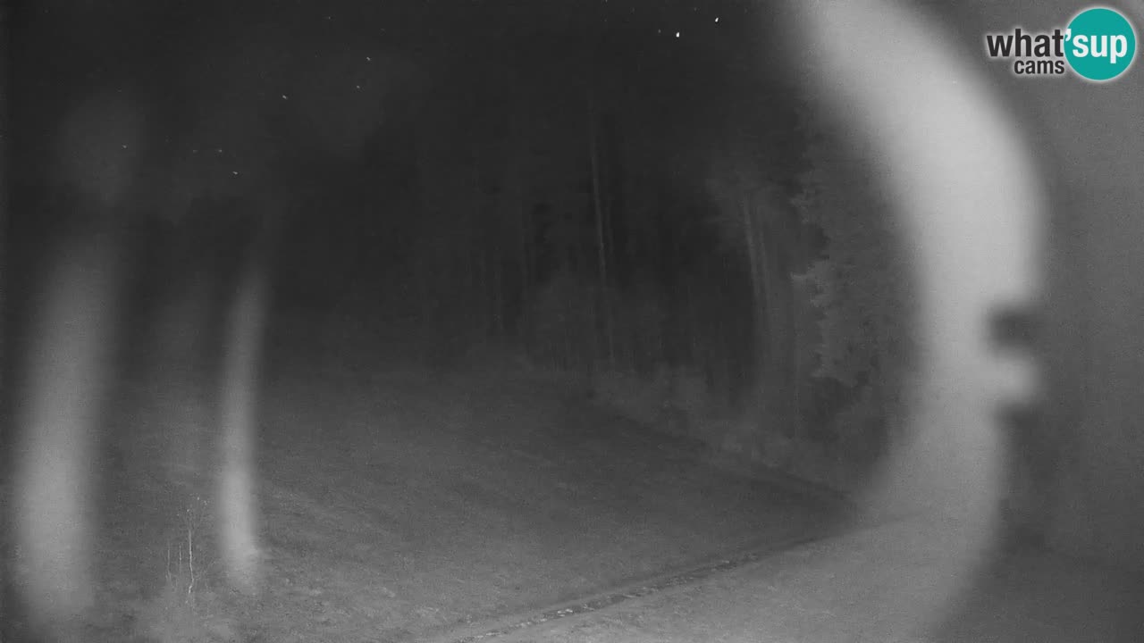 Stari Vrh Ski resort Live webcam – Slovenia