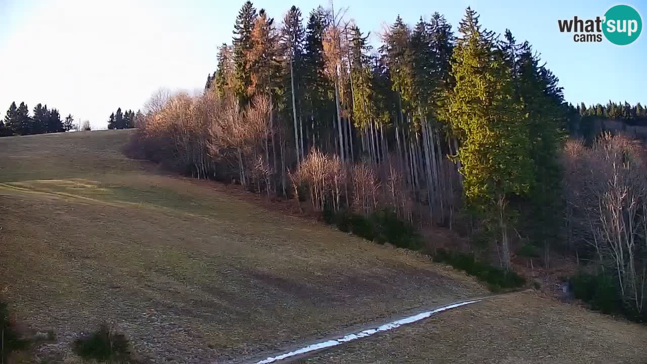 Stazione sciistica di Stari Vrh Webcam in diretta – Slovenia