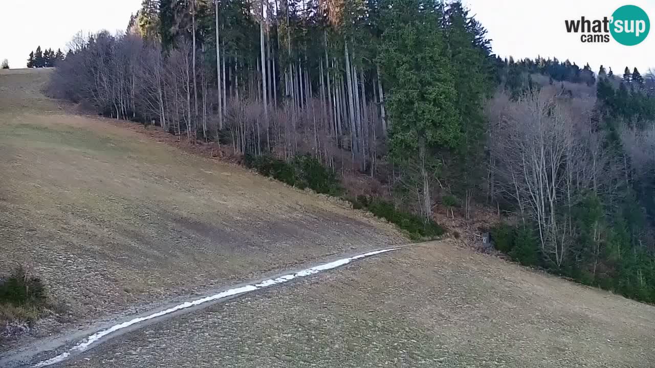 Estación de esquí Stari Vrh Cámara web en vivo – Eslovenia