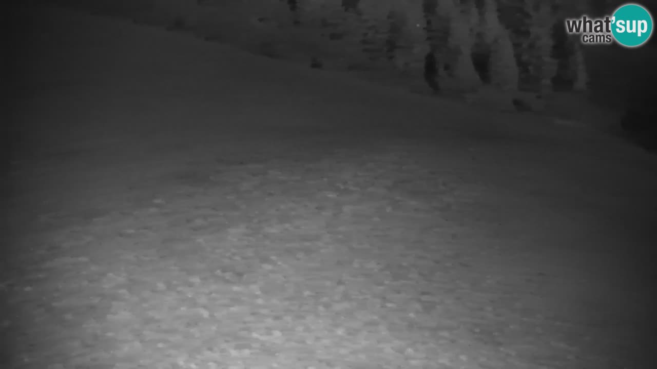 Webcam en direct de la station de ski de Stari Vrh – Slovénie