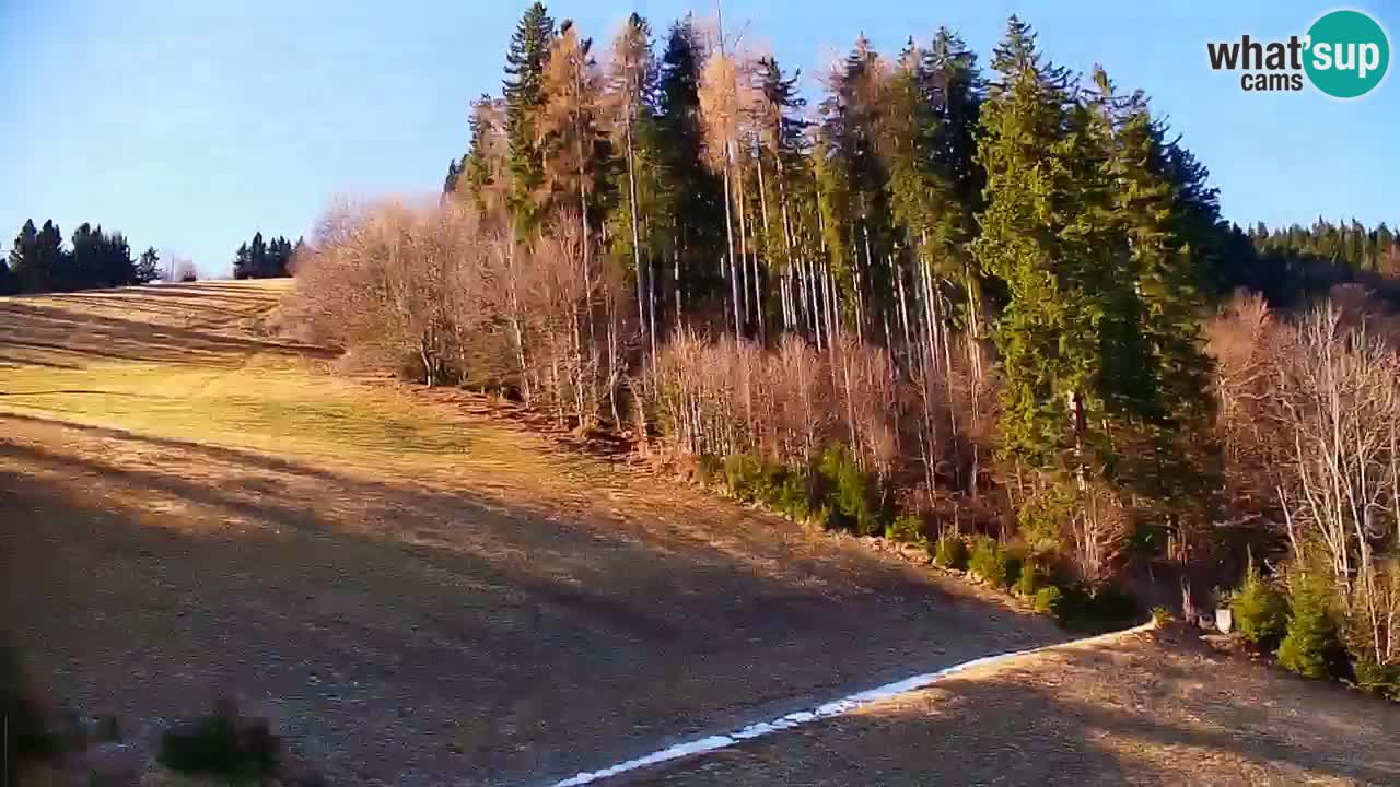 Estación de esquí Stari Vrh Cámara web en vivo – Eslovenia