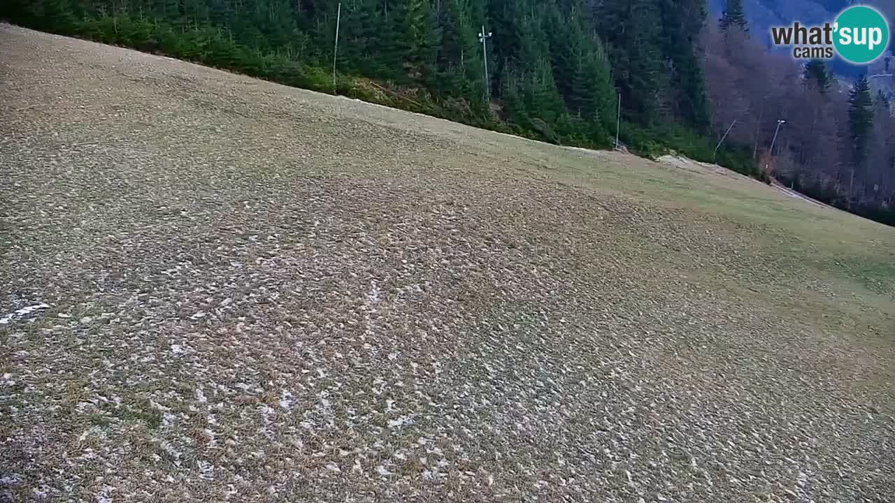 Estación de esquí Stari Vrh Cámara web en vivo – Eslovenia