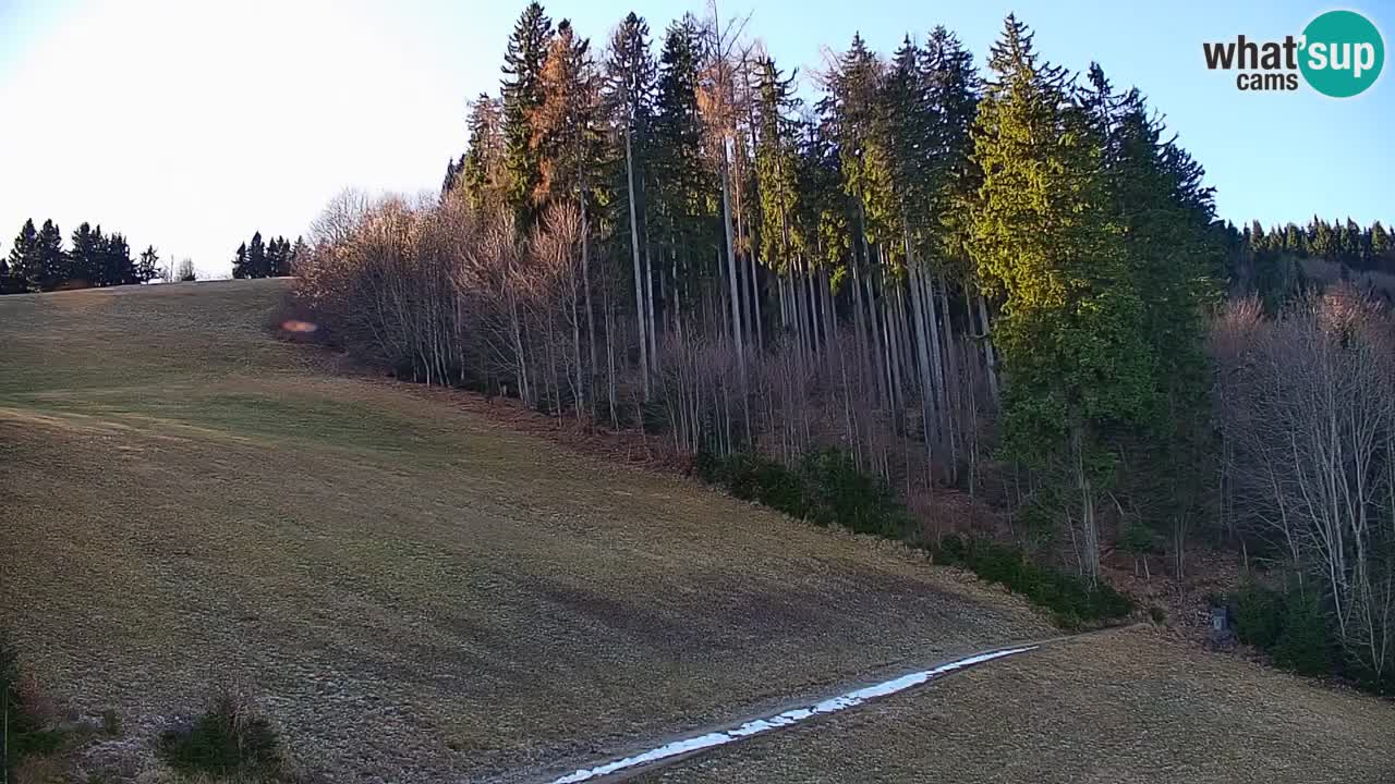 Stari Vrh Ski resort Live webcam – Slovenia