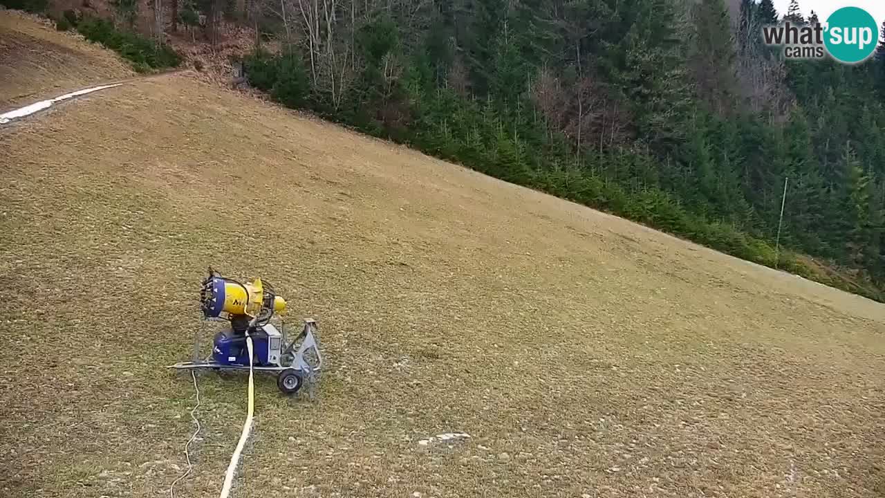 Skijalište Stari Vrh Web kamera uživo – Slovenija