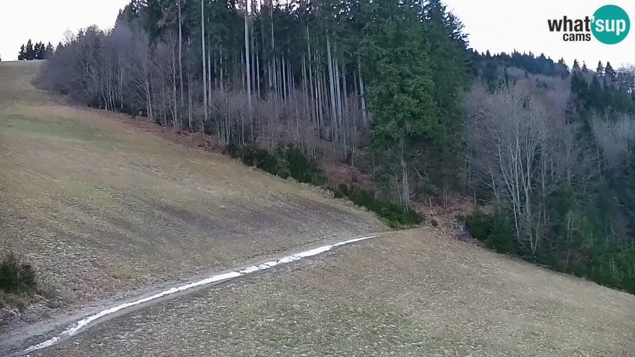 Webcam en direct de la station de ski de Stari Vrh – Slovénie