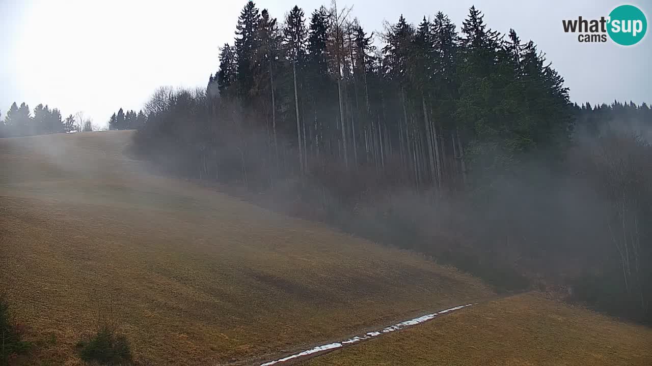 Webcam en direct de la station de ski de Stari Vrh – Slovénie