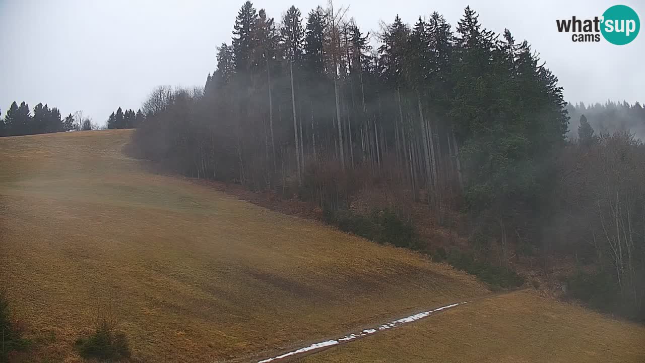 Webcam en direct de la station de ski de Stari Vrh – Slovénie
