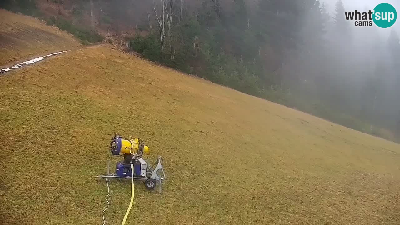 Webcam en direct de la station de ski de Stari Vrh – Slovénie