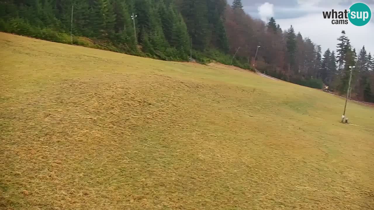 Estación de esquí Stari Vrh Cámara web en vivo – Eslovenia