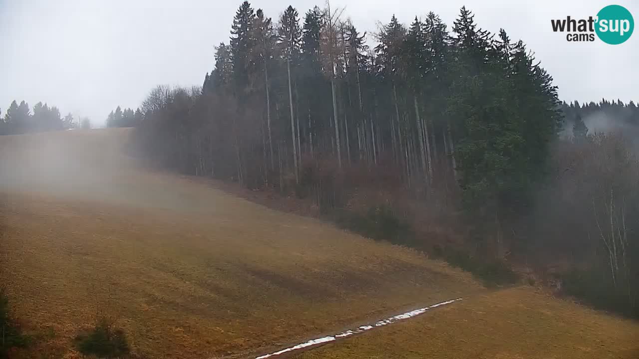 Webcam en direct de la station de ski de Stari Vrh – Slovénie