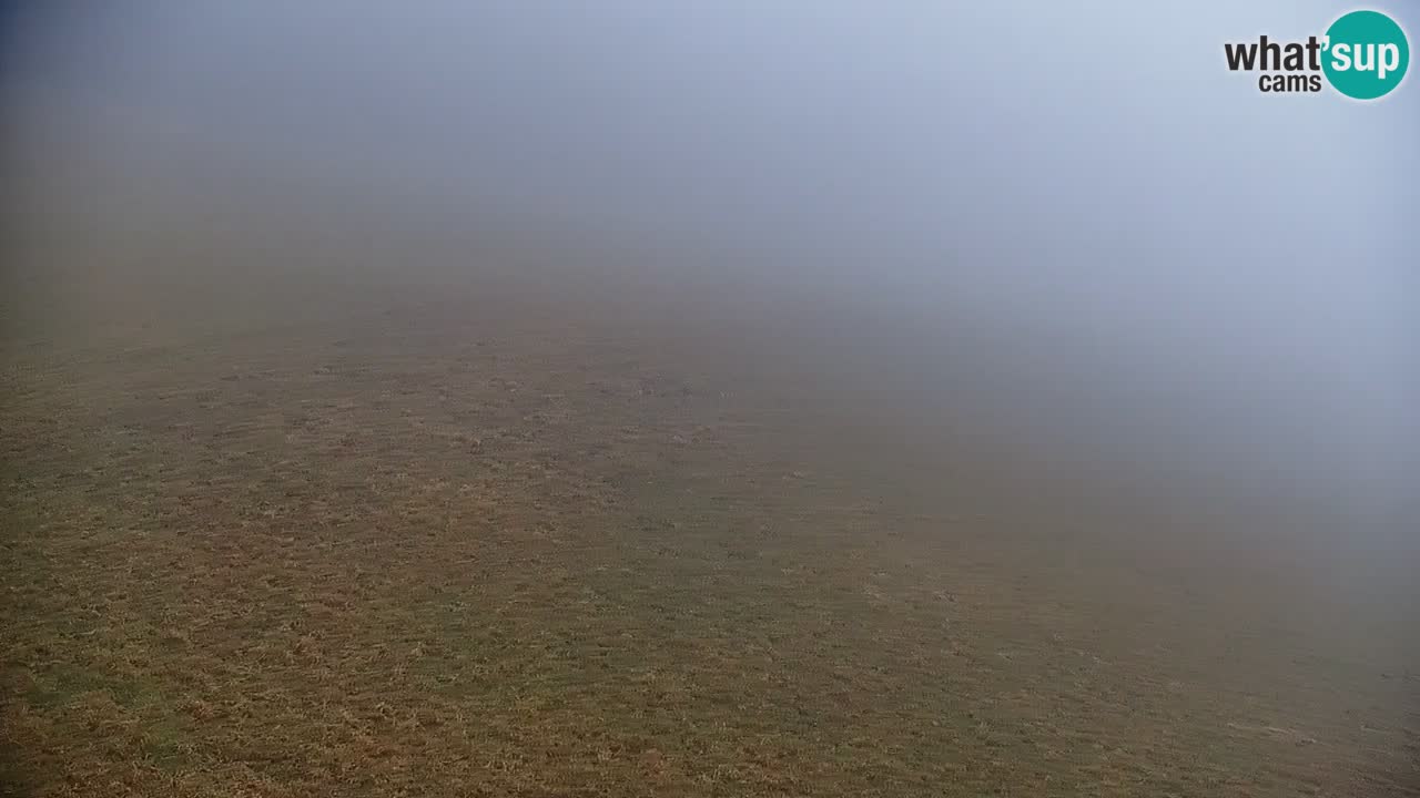 Stari Vrh Ski resort Live webcam – Slovenia