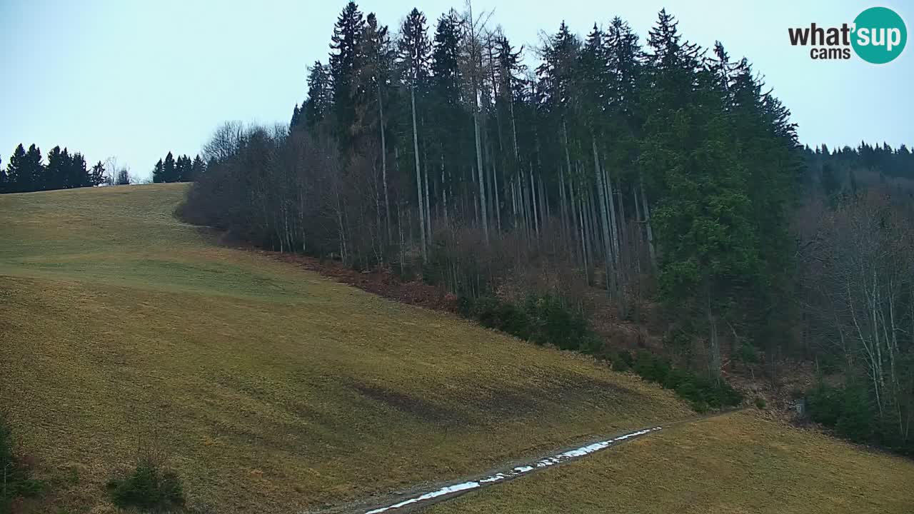 Smučišče Stari Vrh Spletna kamera – vrtljiva