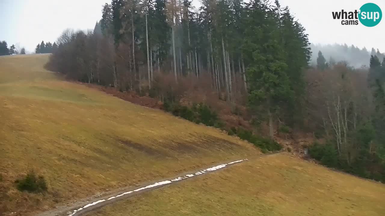 Skigebiet Stari Vrh Live Webcam – Slowenien