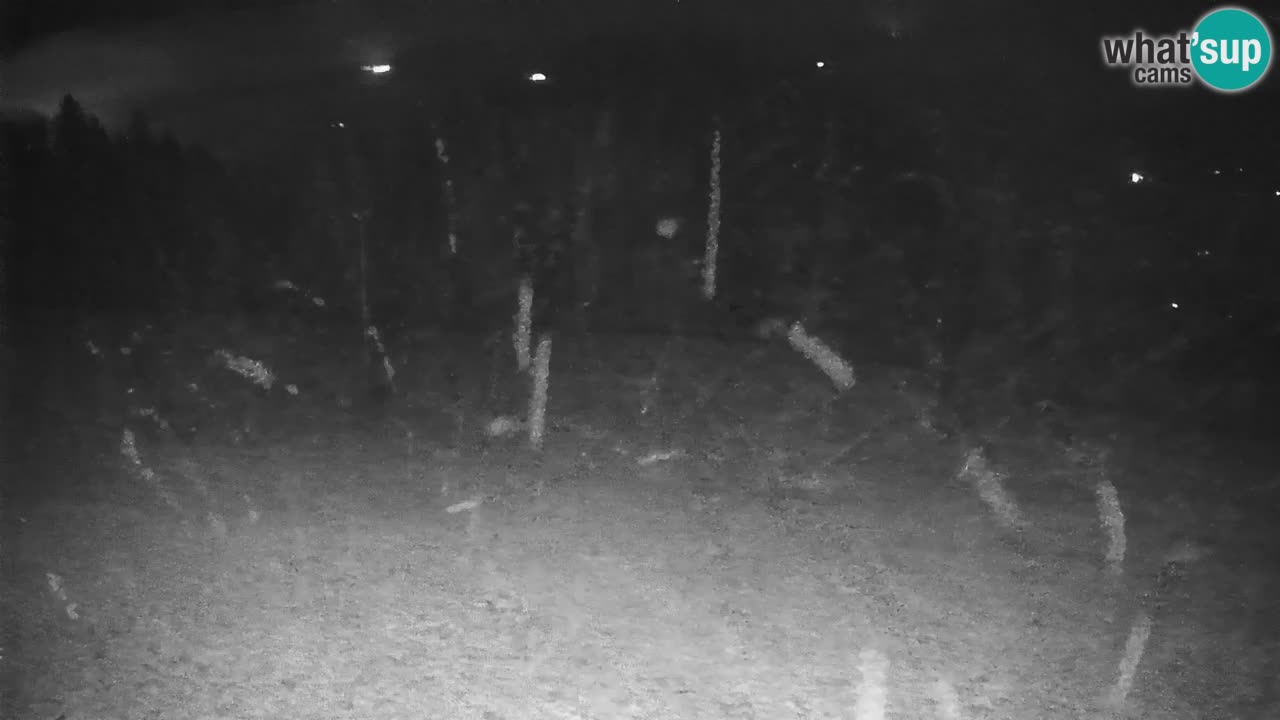 Smučišče Stari Vrh Spletna kamera – vrtljiva