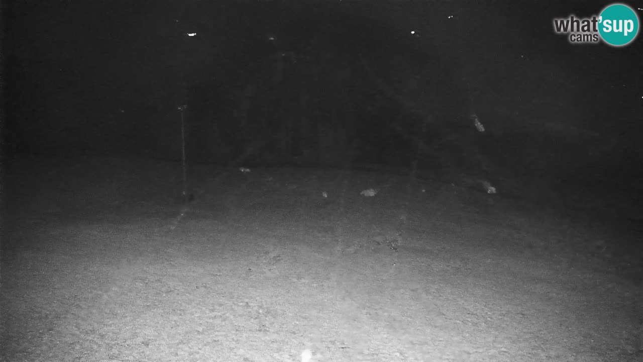 Stazione sciistica di Stari Vrh Webcam in diretta – Slovenia