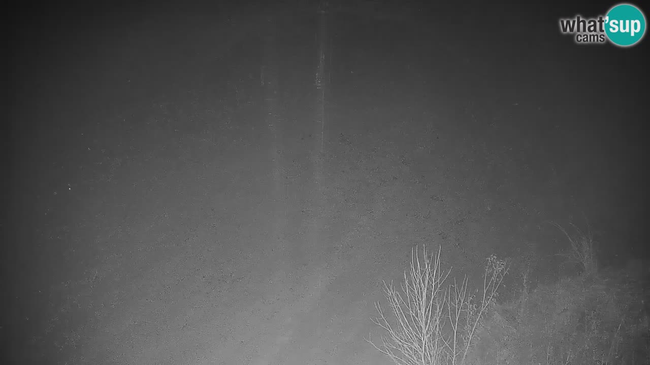 Estación de esquí Stari Vrh Cámara web en vivo – Eslovenia