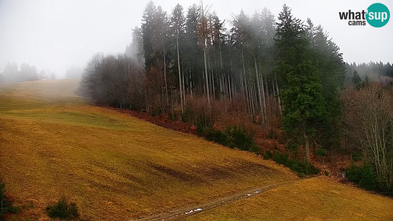 Stazione sciistica di Stari Vrh Webcam in diretta – Slovenia
