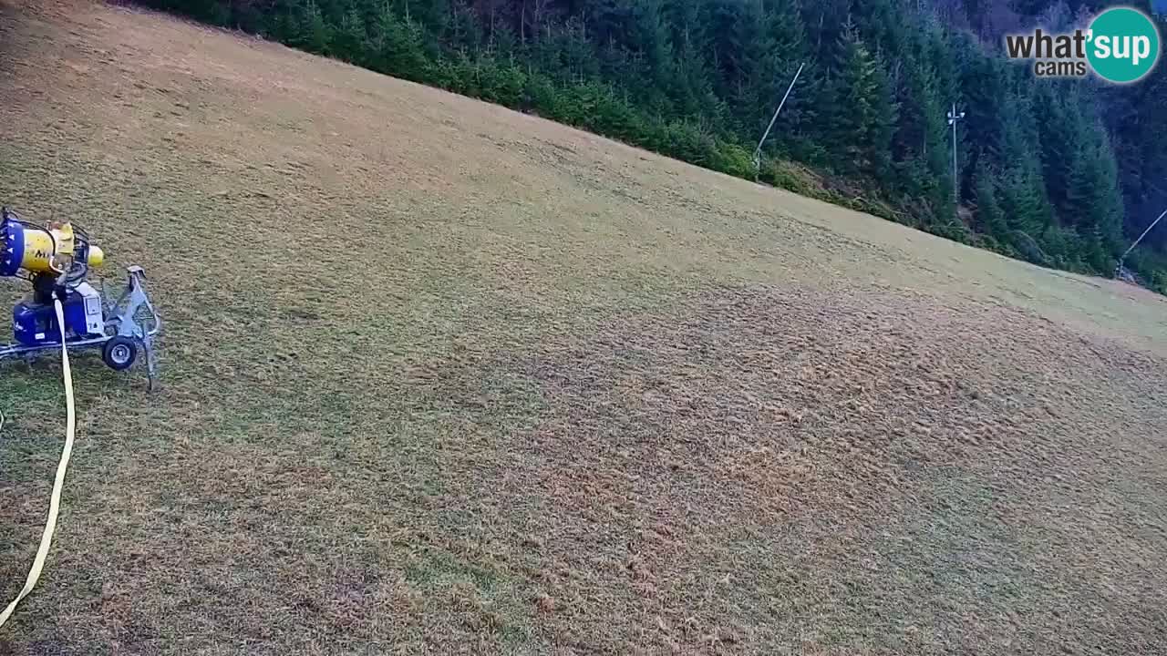 Skijalište Stari Vrh Web kamera uživo – Slovenija