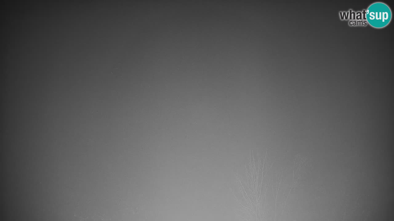 Stazione sciistica di Stari Vrh Webcam in diretta – Slovenia