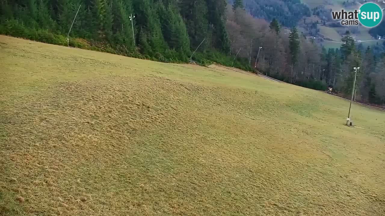 Stazione sciistica di Stari Vrh Webcam in diretta – Slovenia
