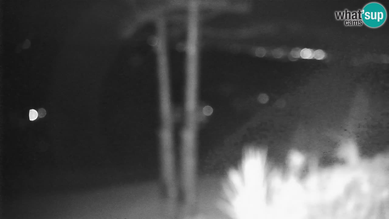 Stari Vrh Ski resort Live webcam – Slovenia