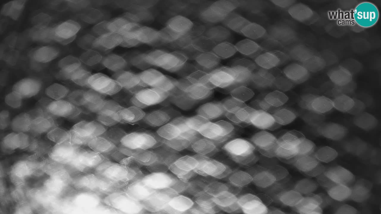 Skigebiet Stari Vrh Live Webcam – Slowenien