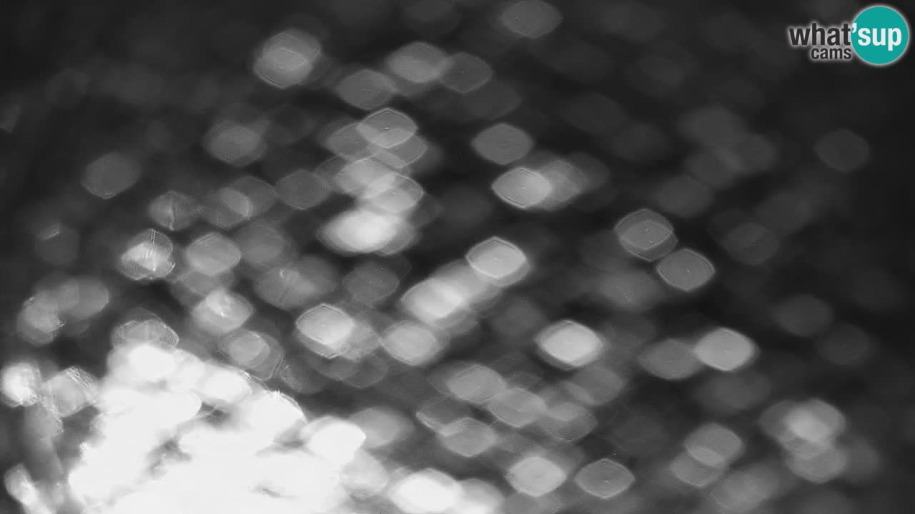 Smučišče Stari Vrh Spletna kamera – vrtljiva