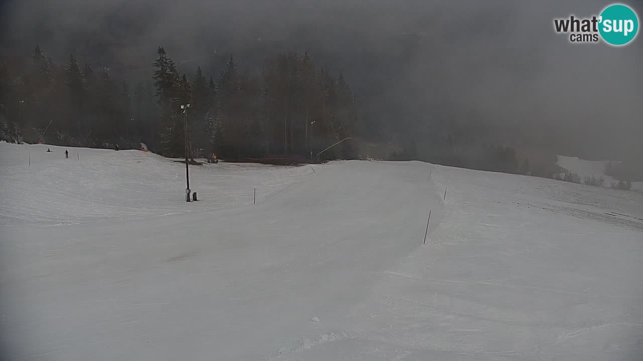 Skijalište Stari Vrh Web kamera uživo – Slovenija